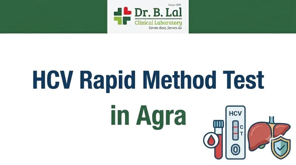 Hepatitis C Test for Adults in Agra | HCV Rapid Method | Dr. B. Lal Lab