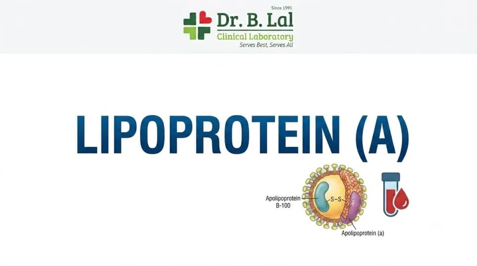 Affordable Lipoprotein (a) Test in Jaipur | No Fasting Required