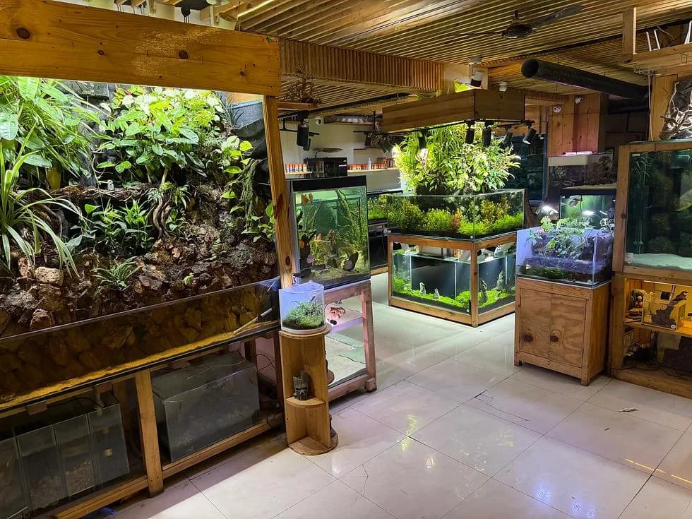 Aquarium Shop in Pune