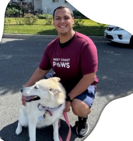 Dog Sitters in Long Beach CA You Can Trust | westcoastpaws