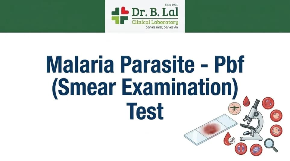 Malaria Parasite PBF Smear Examination | Trusted Lab in Agra | Dr. B. Lal Lab