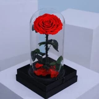 Buy Forever Roses in Dubai – Elegant Preserved Rose Gifts