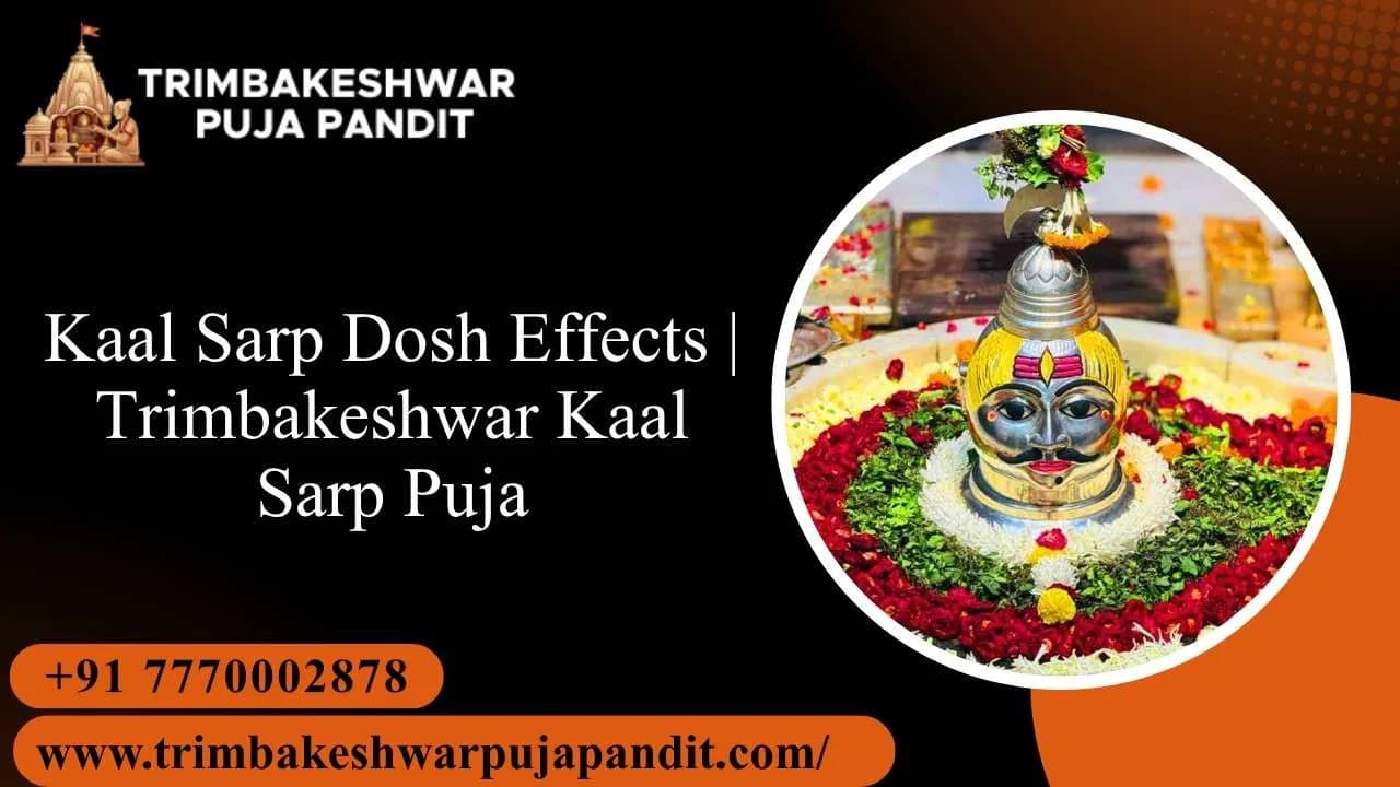 Kaal Sarp Dosh Effects | Trimbakeshwar Kaal Sarp Puja