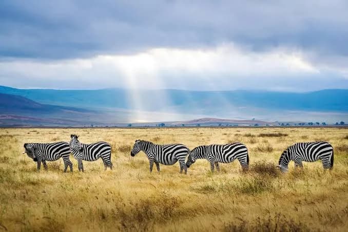 What Makes Luxury Climbing Mount Kilimanjaro Unique?