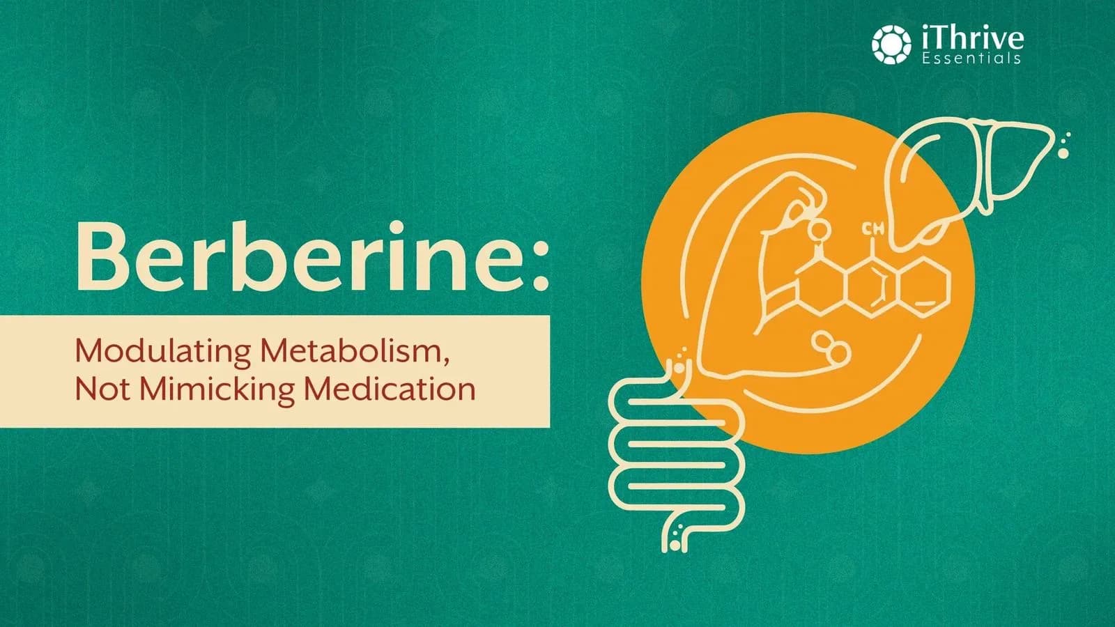 Berberine for Blood Sugar Support — Science-Backed Guide