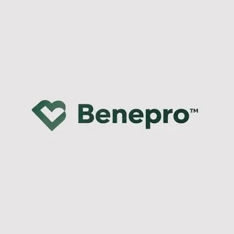 BENEPRO The Benefit Professionals