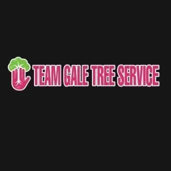 Team Gale Tree Service