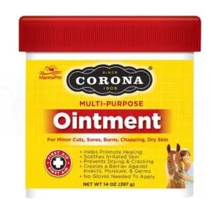 Corona ointment for horses