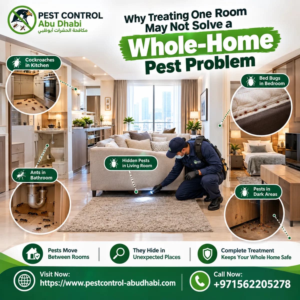 Why Treating One Room May Not Solve a Whole-Home Pest Problem
