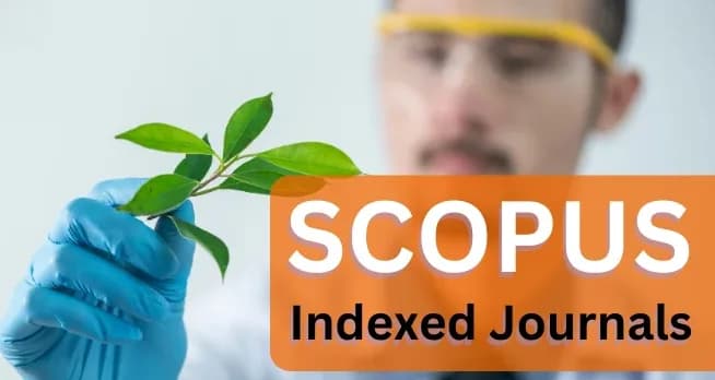 Scopus Indexed Journals for Research Publication