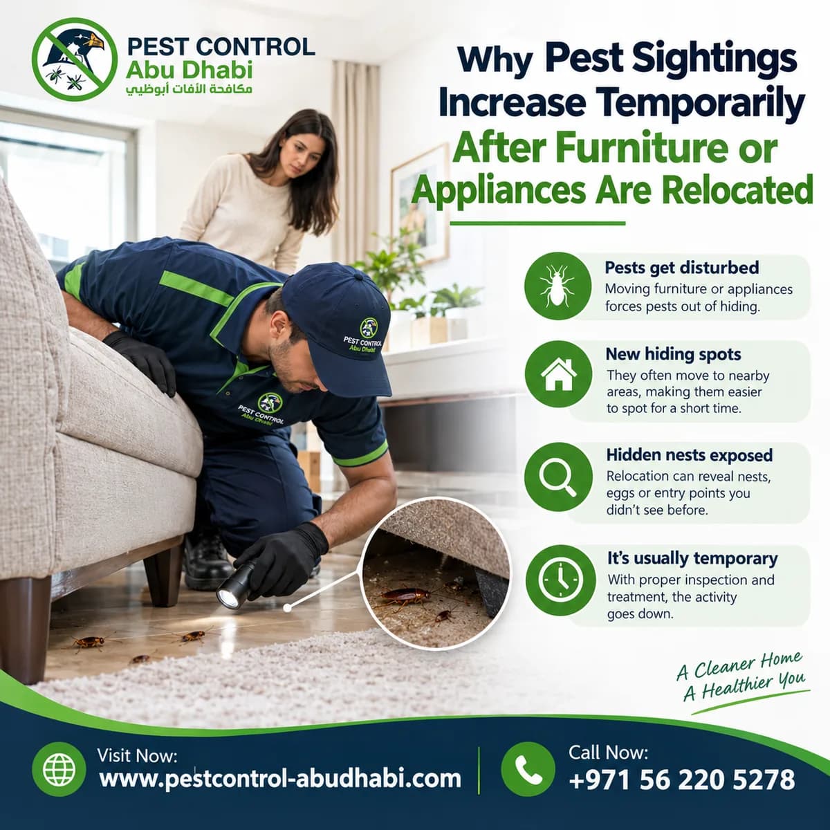 Why Pest Sightings Increase Temporarily After Furniture or Appliances Are Relocated