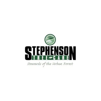 Dependable Tree Service Near Me Providing Safe and Professional Tree Solutions
