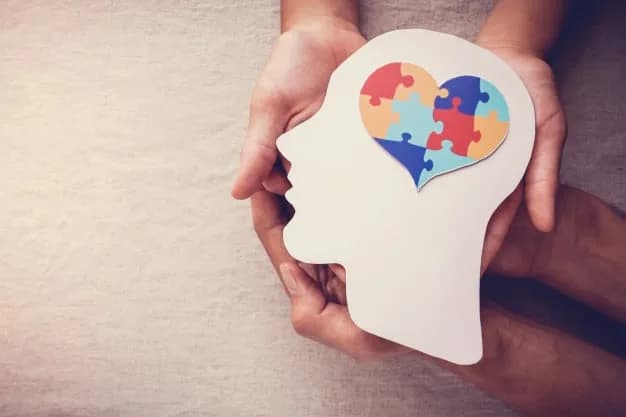 Online Mental Health Support Tools