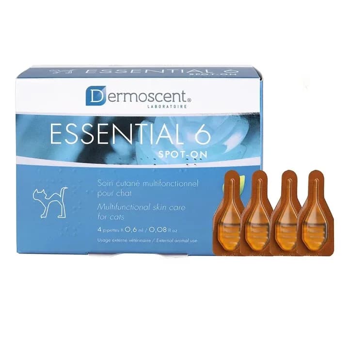 35% Off Halloween Sale – Essential 6 for Cats | DiscountPetMart