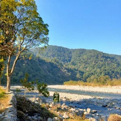 Corbett Booking Services for a Hassle-Free Wildlife Journey