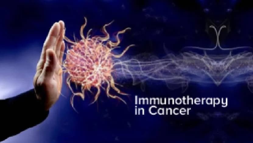Quality Immunotherapy Treatment in Noida | Dr. Manish Singhal