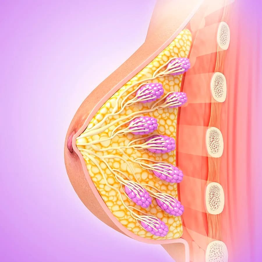 Compassionate Breast Cancer Treatment in Noida | Expert Care