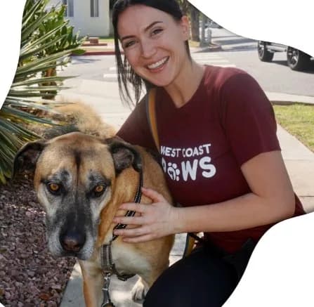 Local Dog Sitters in Long Beach CA | westcoastpaws