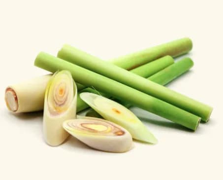 Buy lemongrass oil