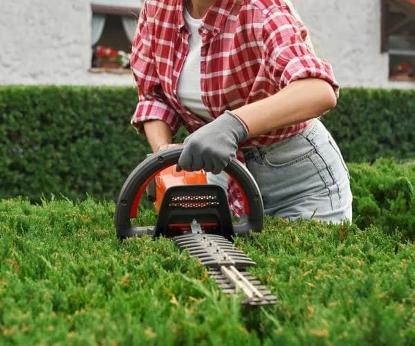 Upgrade Your Prospect Outdoor Space With Garden Landscaping