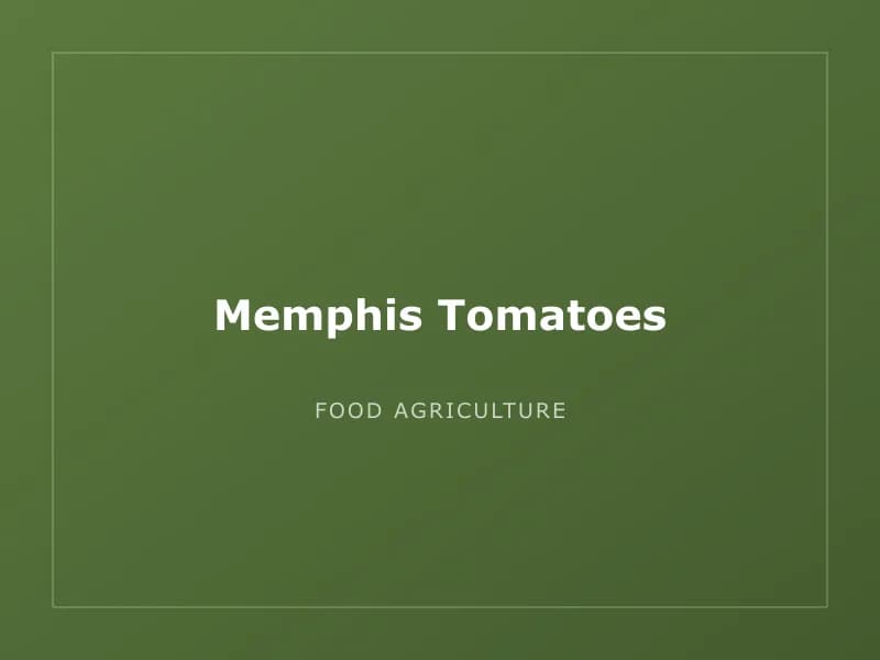 Memphis Tomatoes