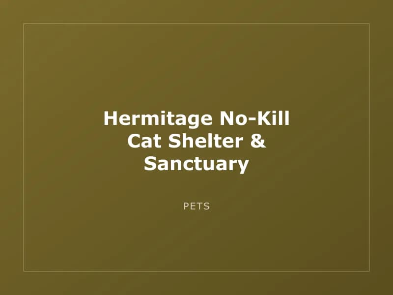 Hermitage No-Kill Cat Shelter & Sanctuary