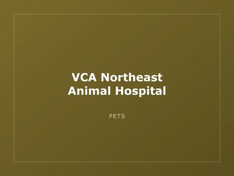 VCA Northeast Animal Hospital
